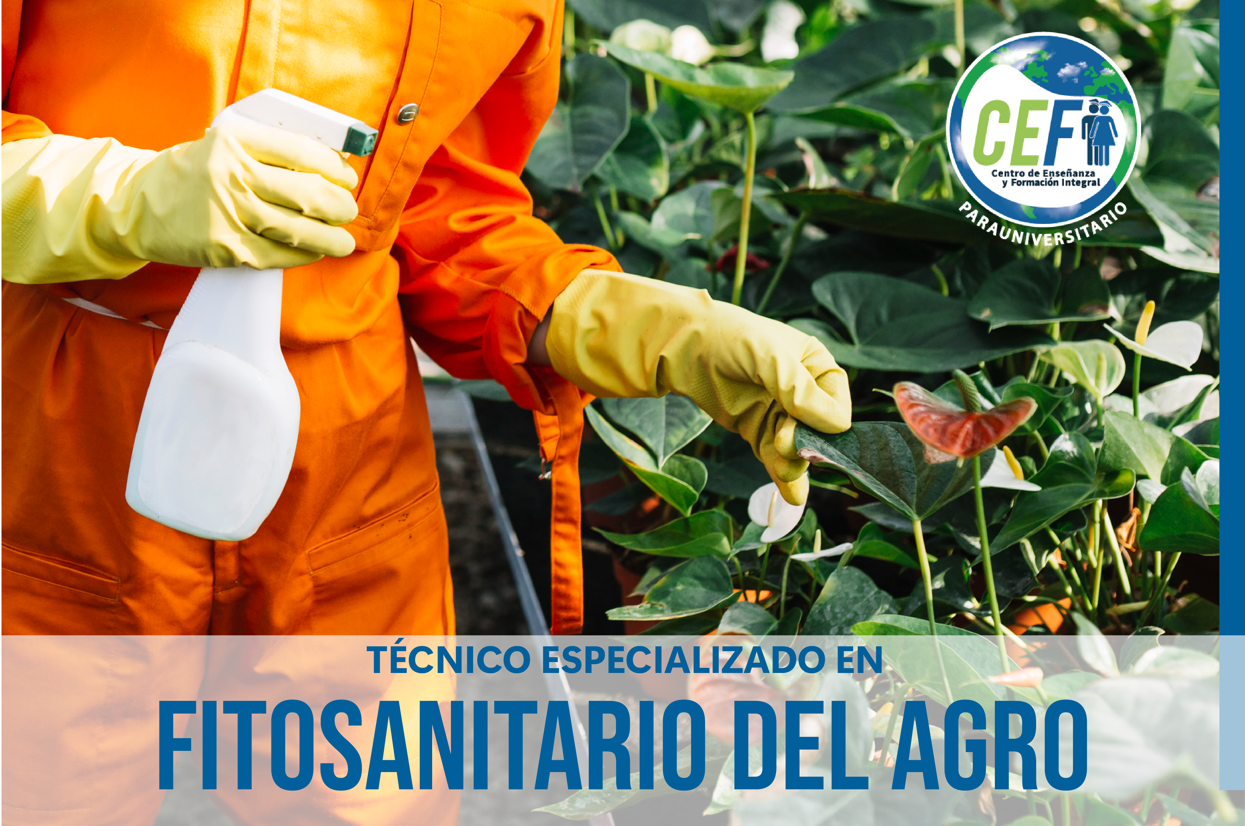 Programa Especializado en Fitosanitario del Agro
